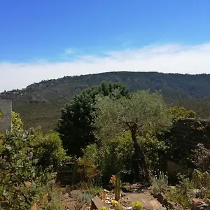 Le Jasmin Mandelieu